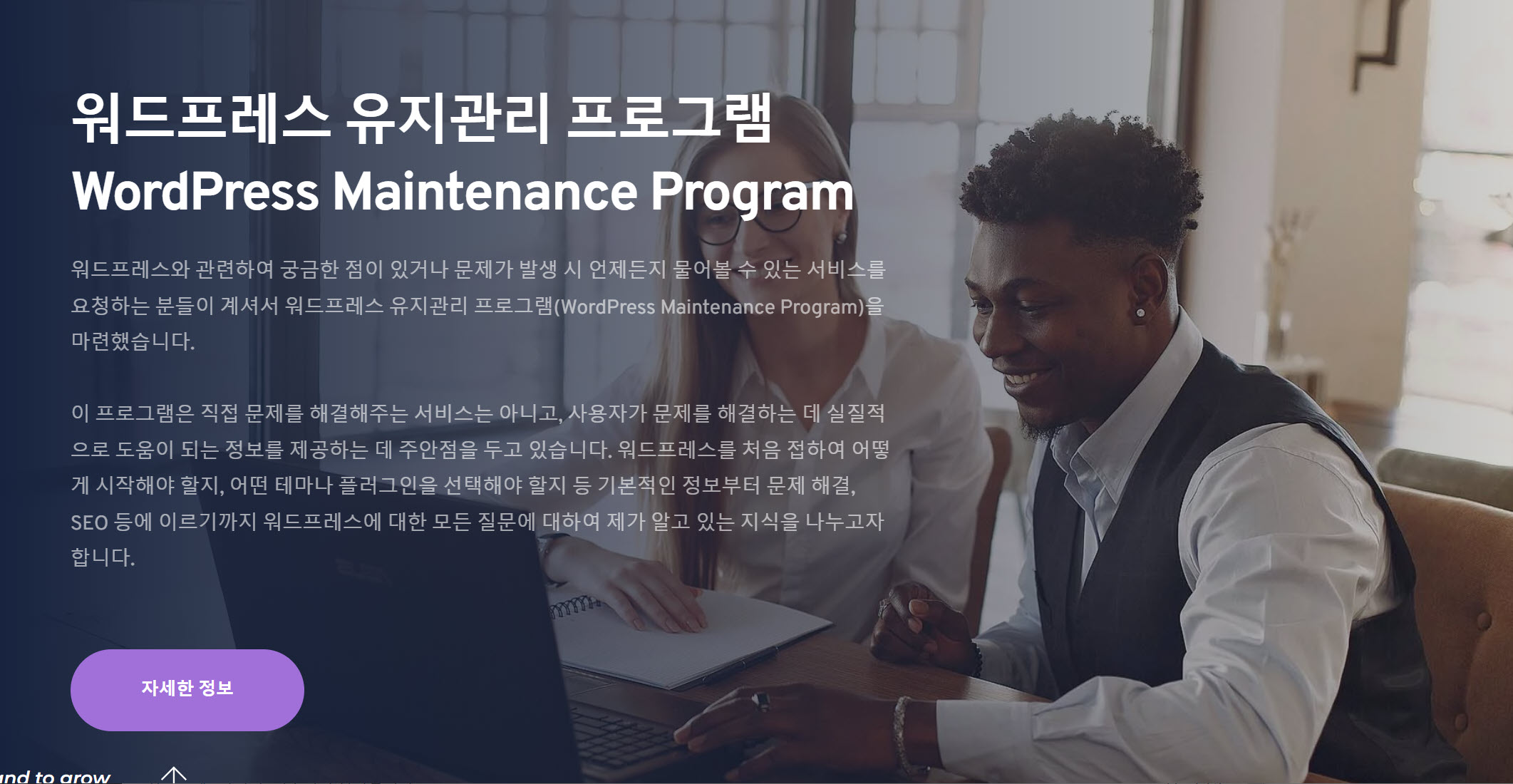 워드프레스 유지관리 프로그램
