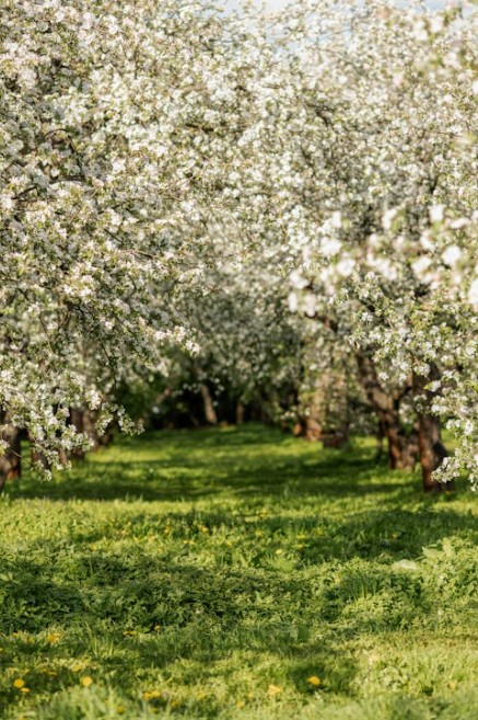 엑스니힐로 매장 어디에 있나요 2025년 위치 총정리