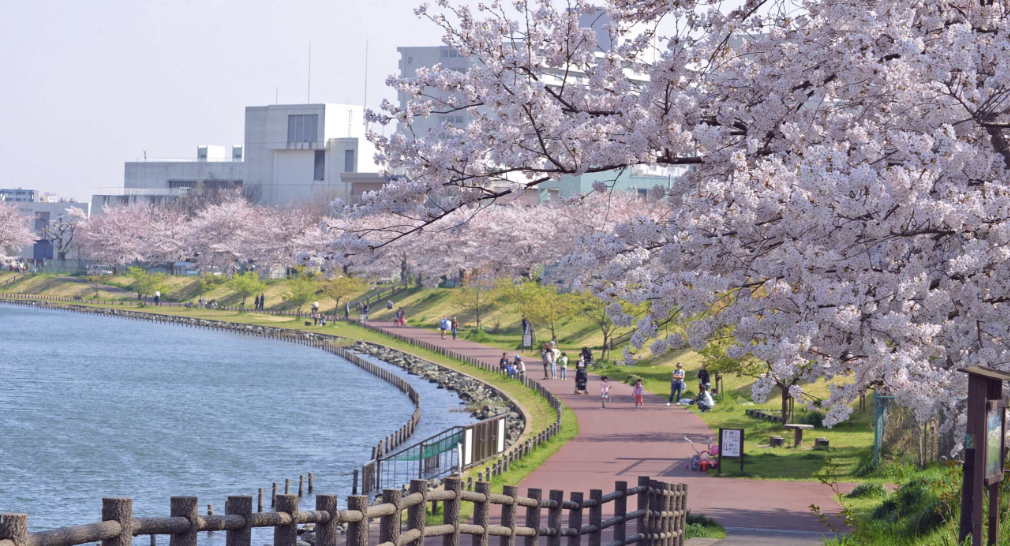 도쿄 여행 베스트