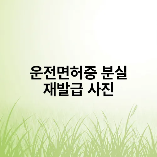 운전면허증 분실 재발급 사진