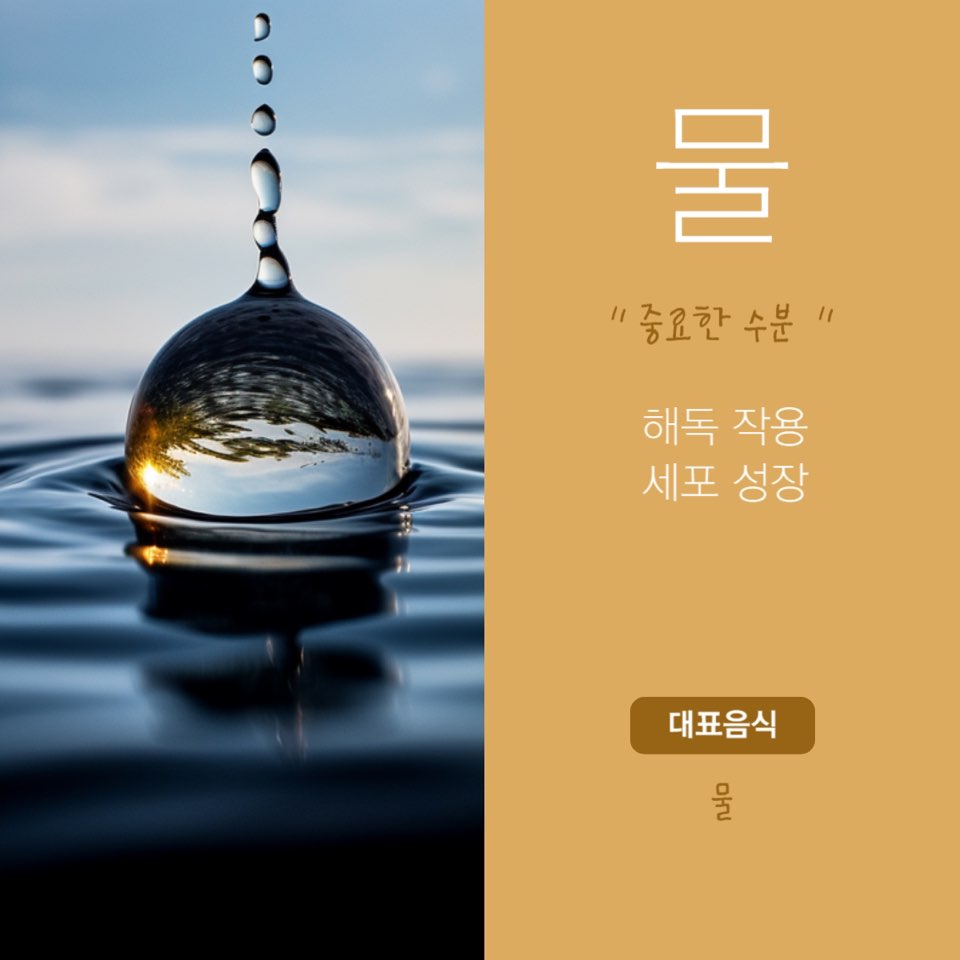 유방암에 좋은 음식