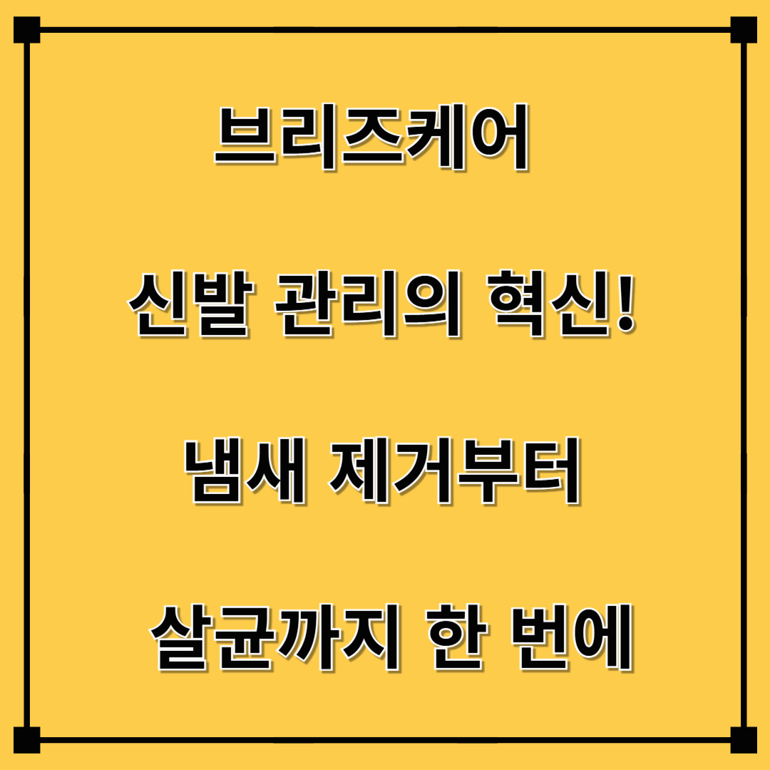 브리즈케어 – 신발 관리의 혁신! 냄새 제거부터 살균까지 한 번에