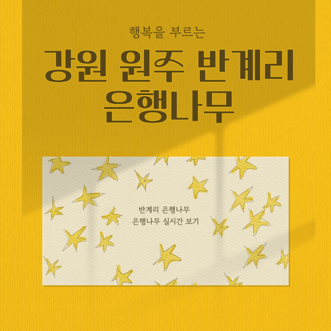 강원도 원주 반계리 은행나무 CCTV 실시간