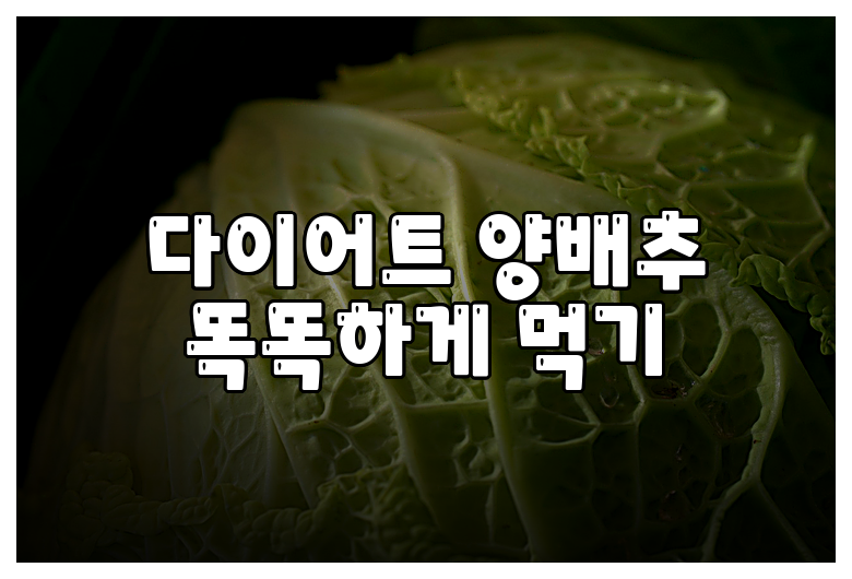 다이어트 양배추 똑똑하게 먹기