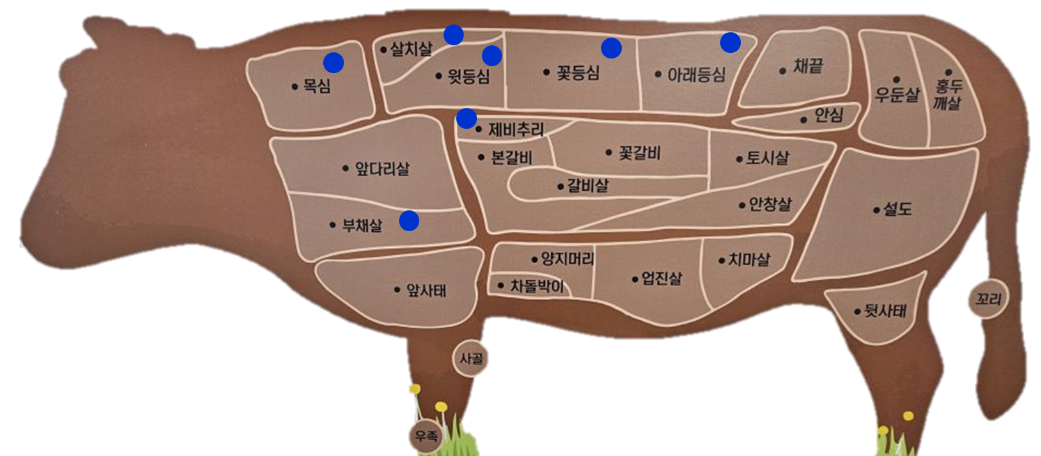 앞쪽 부위