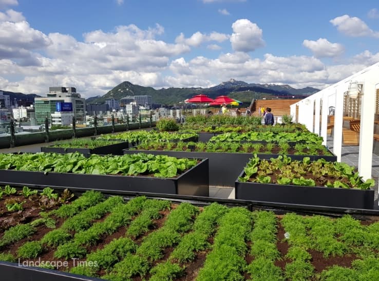 수직 농업이 도시 생활에 불어넣는 활력과 가능성