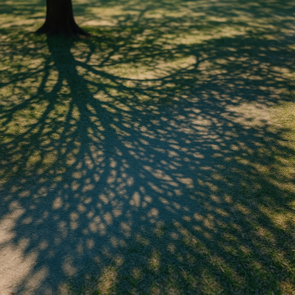 바람이 불 때 나무 그림자가 흔들려 보이는 과학은?