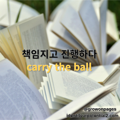 carry the ball 뜻과 실제 영어회화 활용법을 알아보세요. carry the ball은 중요한 프로젝트나 업무를 책임지고 추진하다라는 의미로 사용됩니다. 비즈니스 영어 예문, 대화문, 유사 표현 비교까지 함께 정리했습니다.