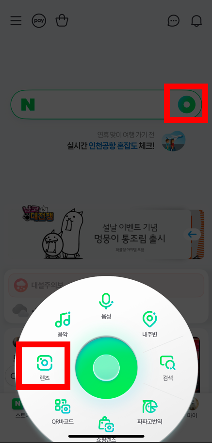 네이버 렌즈로 식물 이름 찾는 방법