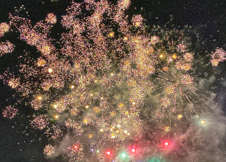 피나클랜드 수목원