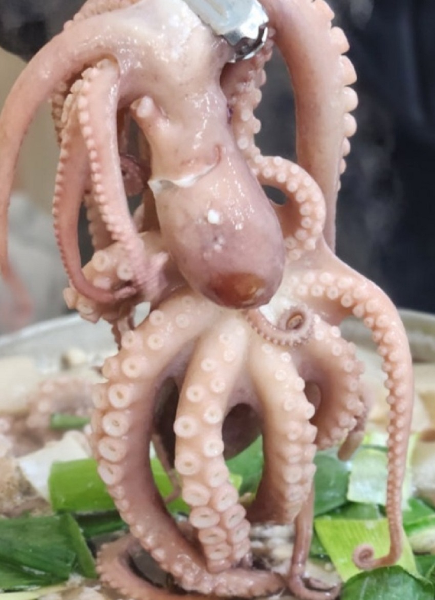 화성-사강시장-연포탕-마산회집