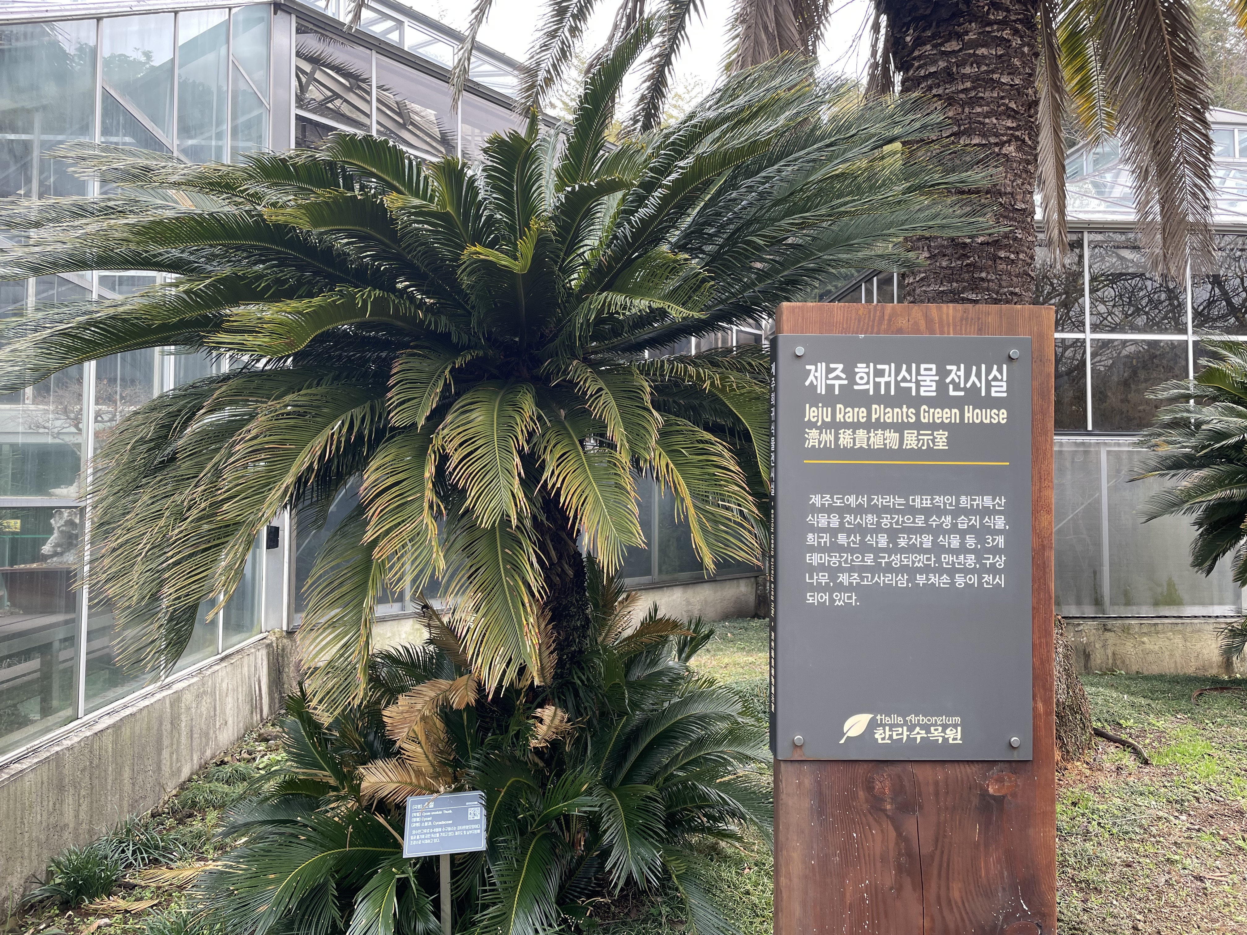 제주_식물원