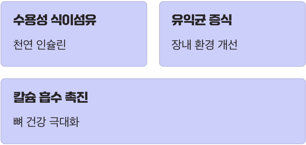 칼슘 흡수를 돕는 특별한 조력자