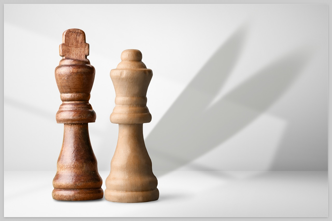 체스를 통한 생각