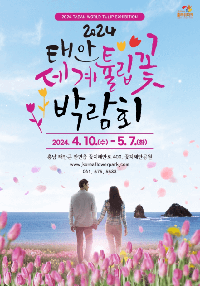 태안 튤립축제 기간
