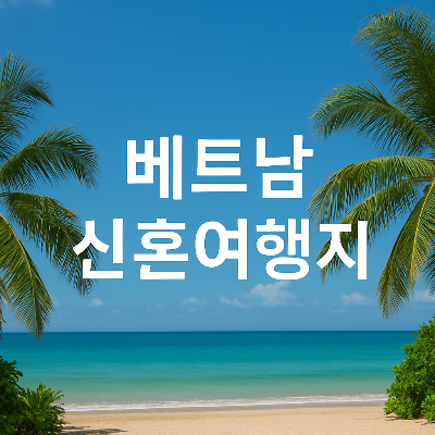 맑은 하늘과 야자수로 둘러싸인 베트남 해변에 신혼여행지를 알리는 하얀 텍스트가 돋보이는 실사형 썸네일 이미지