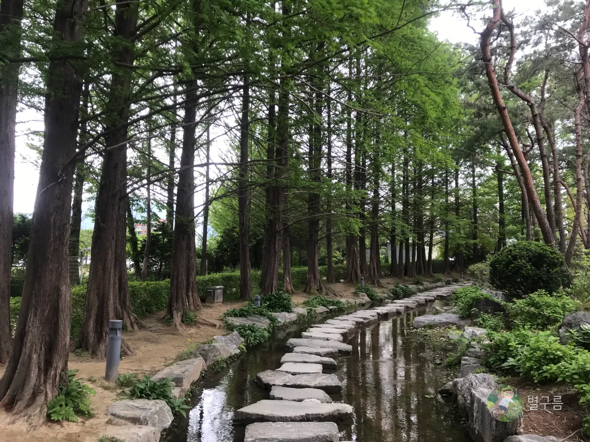 세미원-징검다리