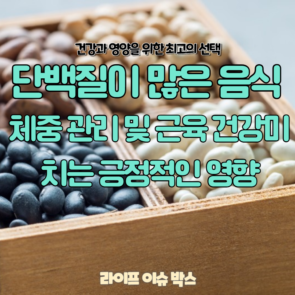 단백질이 많은 음식에 대한 깊이 있는 가이드