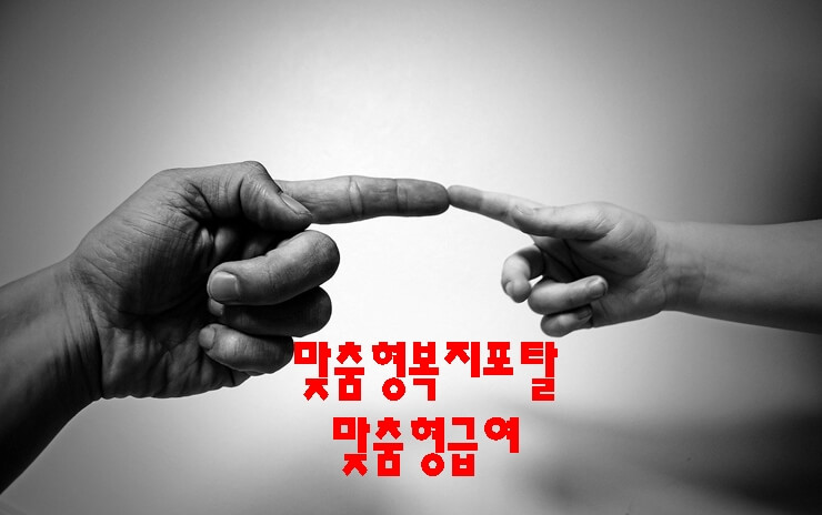 맞춤형급여