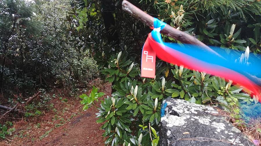 올레길에는 간세가 그려진 리본이 나를 안내했다.