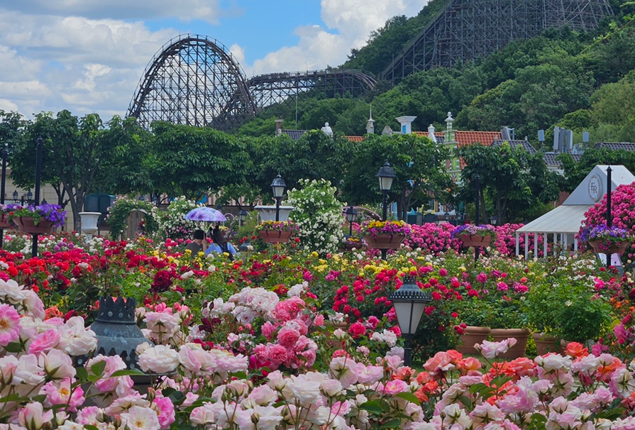 용인 에버랜드