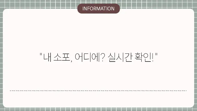 롯데택배 배송 조회하기 ft 실시간 위치 확인