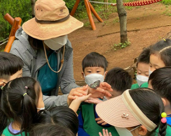 서울 유아숲체험&amp;#44; 숲체험 이용 방법