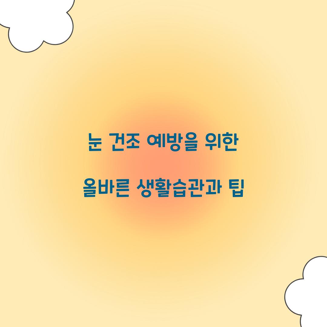 눈 건조 예방