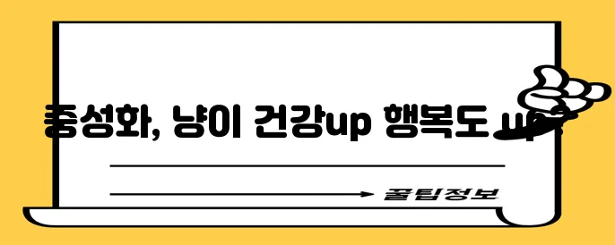 고양이 중성화 반려동물 건강과 행복을 위한 선택입니다!