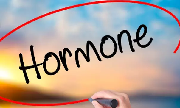 베타-시토스테롤-효능-부작용-건강