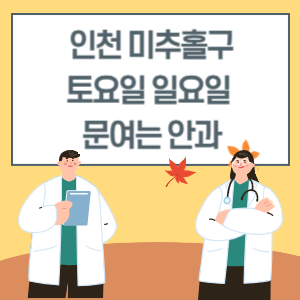 인천 미추홀구 토요일 일요일 안과 진료 병원 리스트