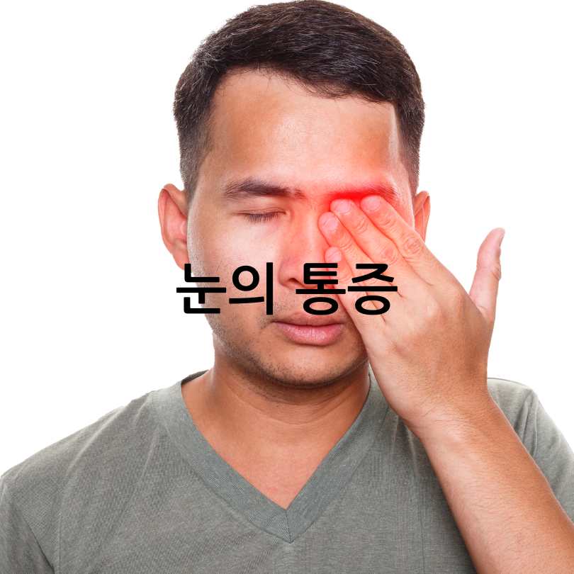 녹내장 초기 증상&amp;#44; 실명 확률 및 진행 속도