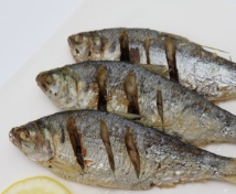 다이어트에-좋은-가을-제철음식-전어