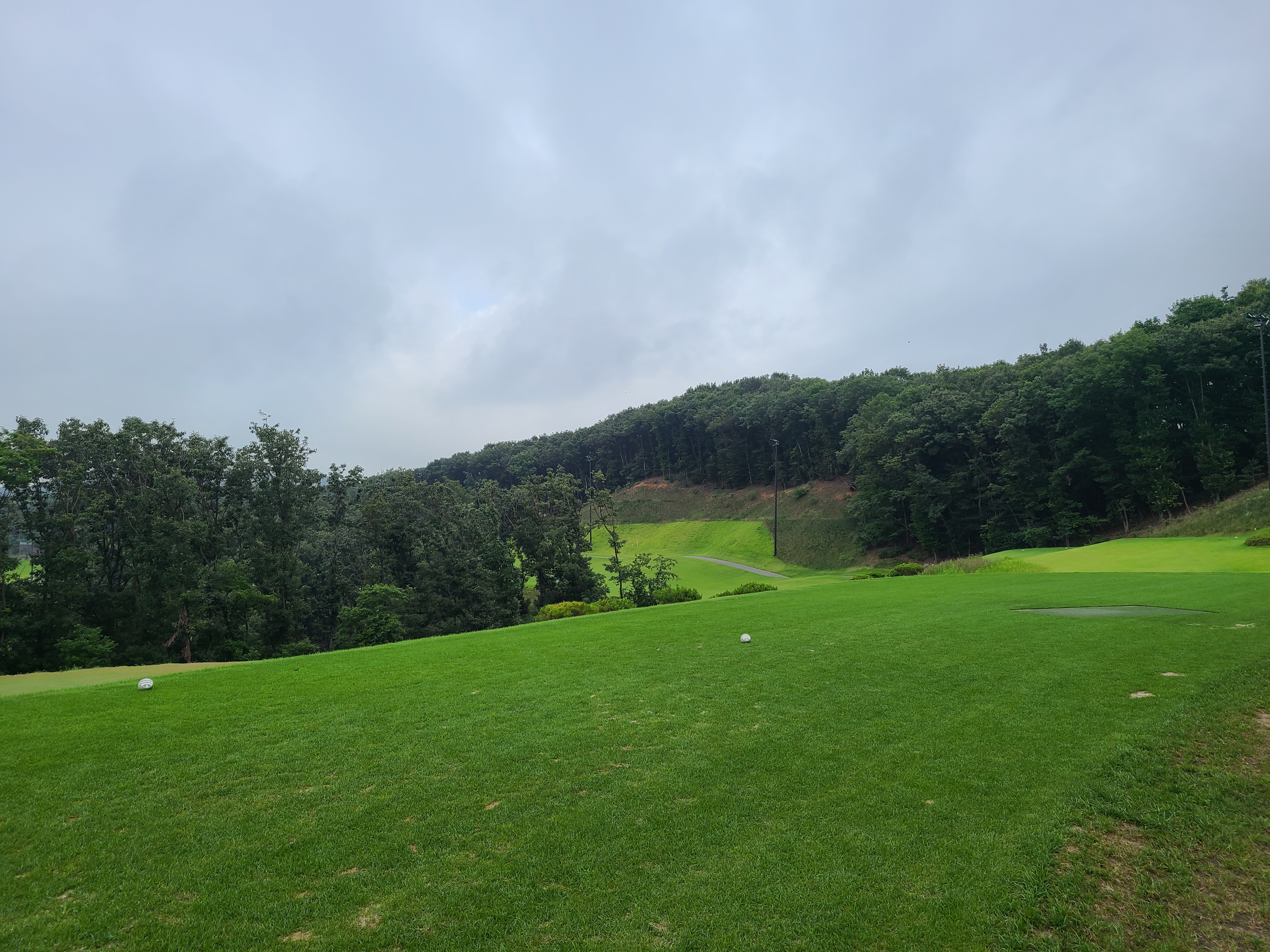 세현cc 페어웨이