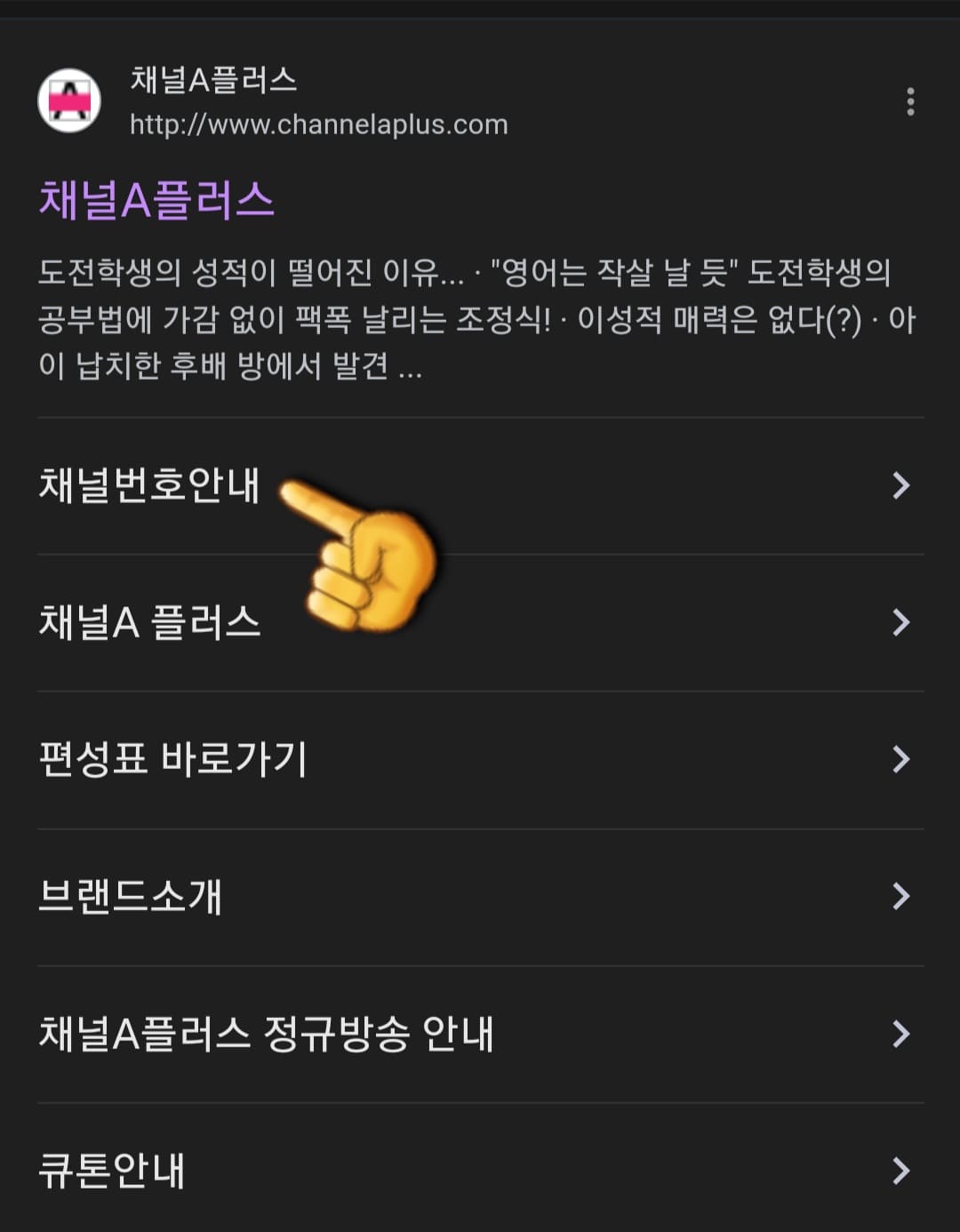채널A-플러스-편성표-및-채널번호-쉽게-확인하는-방법-안내-채널-번호를-확인하려면,-채널A-플러스-홈페이지가-아닌-검색-창을-통해-접속해야-합니다.-다음,-네이버,-구글-사이트에서-채널A-플러스-바로-아래에-있는-채널번호안내를-클릭해야-번호를-확인할-수-있습니다.