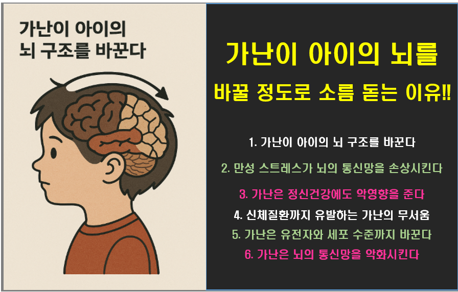 가난이 아이의 뇌를 바꿀 정도로 소름 돋도록 무서운 이유!!