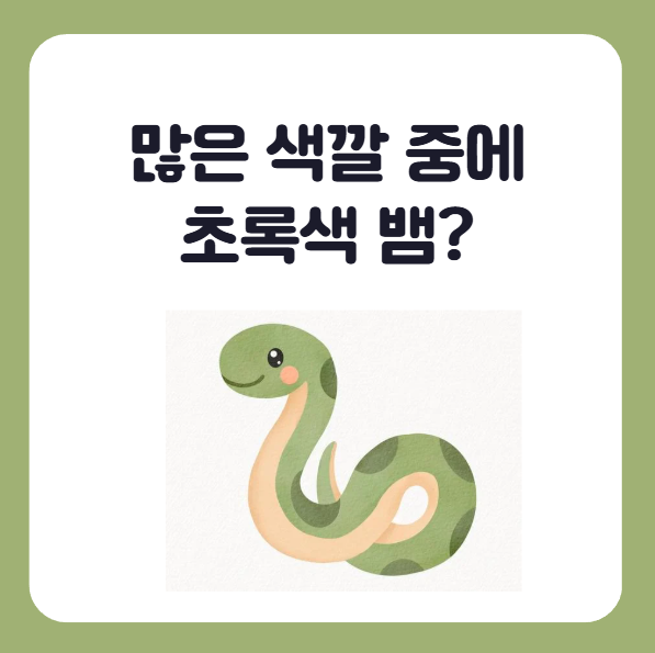 초록색뱀꿈이 특별한 이유