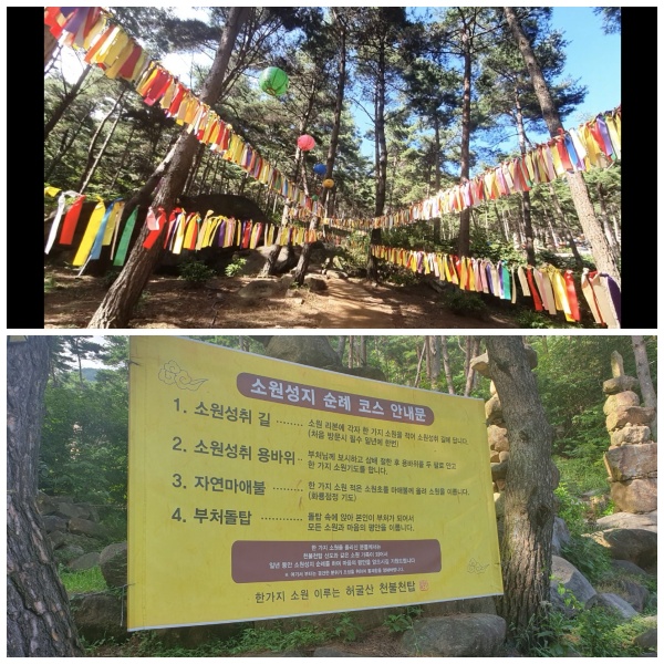 소원성지 순례코스