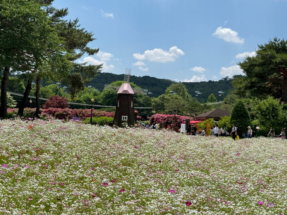 서울대공원