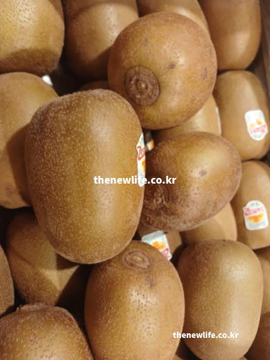 키위 효능 제철