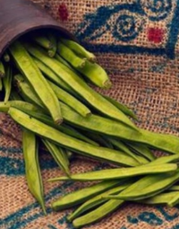 구아검 가수분해물 효능