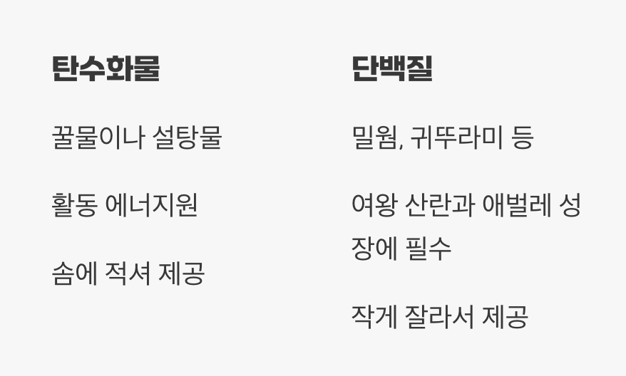 드디어 첫 식사, 무엇을 줘야 할까?