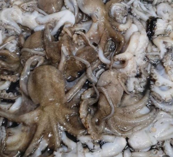 요즘 제철 음식