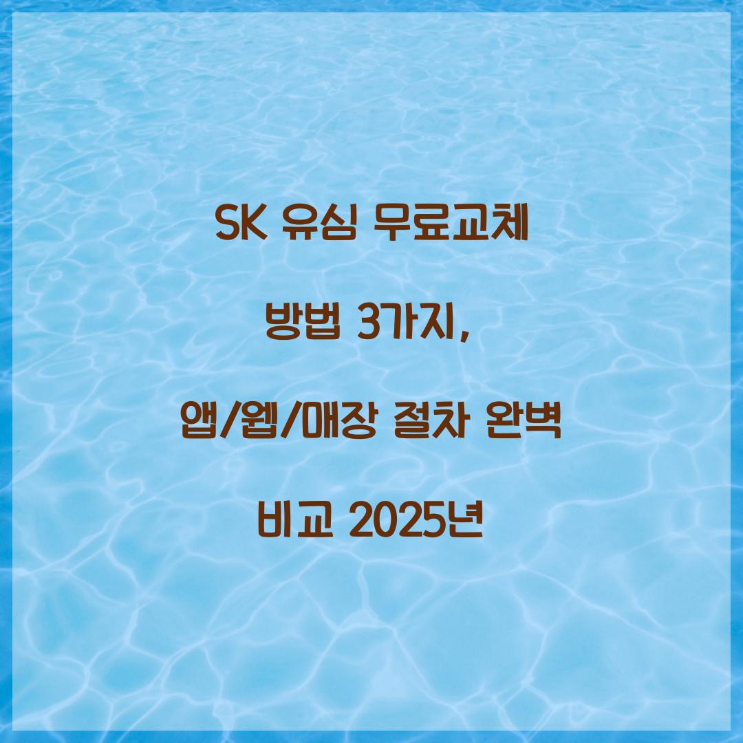 SK 유심 무료교체 방법 3가지: 앱/웹/매장 절차 비교