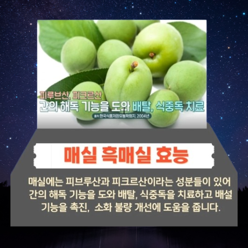 매실 흑매실 효능 매실짱아찌 매실청 만드는법