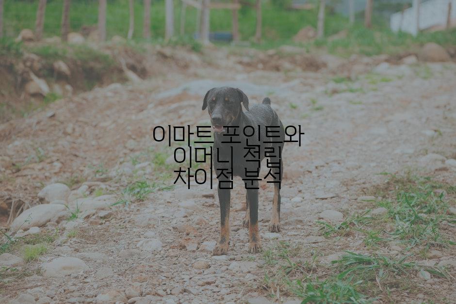 이마트 포인트와 이머니 적립 차이점 분석