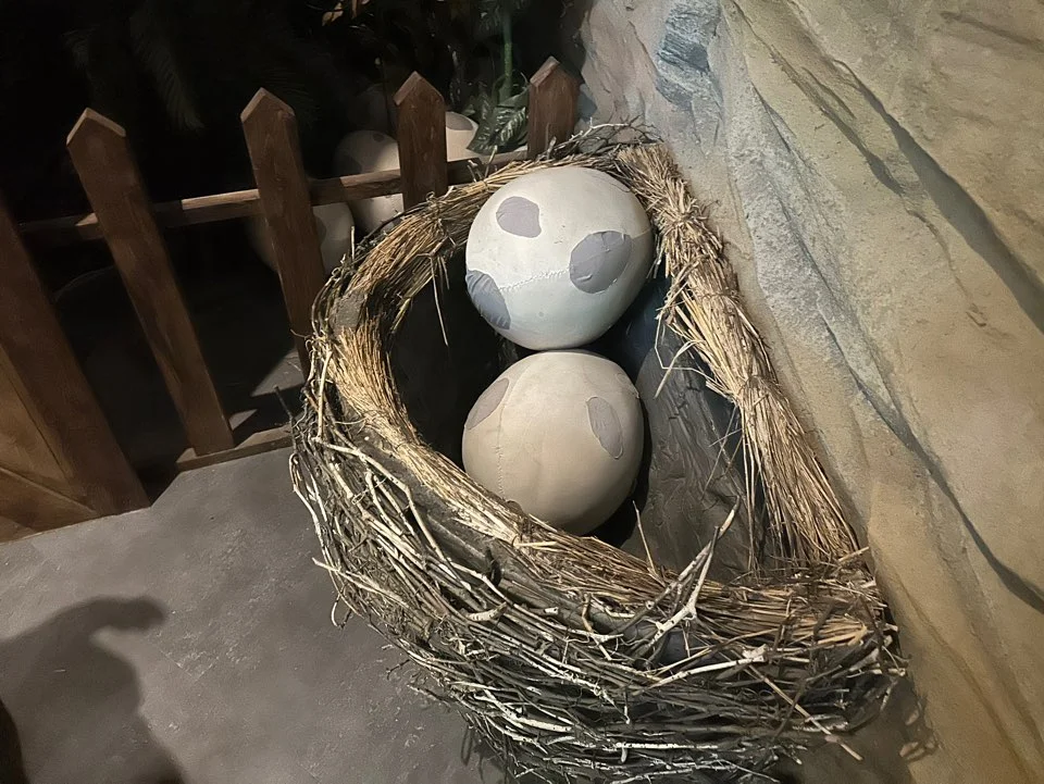 용인실내 아기랑 갈만한 곳 기흥 다이노베이