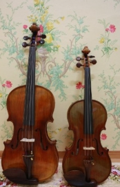 viola vs violin