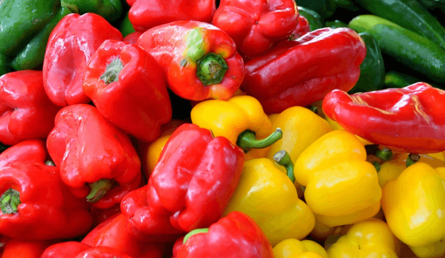 결핵에 좋은 음식 피망