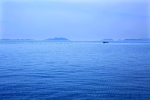 청산도 배시간표